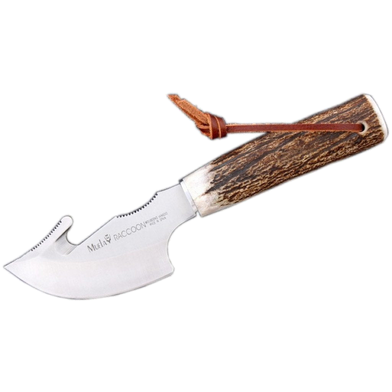Muela Raccoon 8 A Fixed Blade Hunting Knife