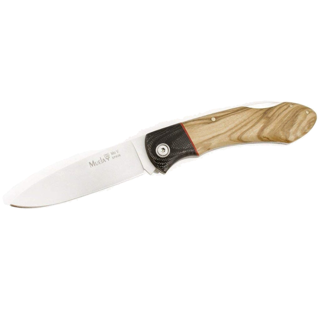 Muela GT-8M.OL Hunting Knife with Olive Wood Handle and Stainless Steel Blade