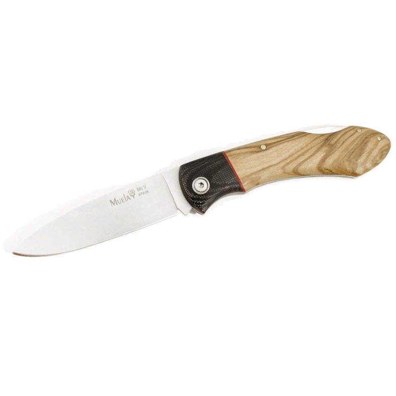 Muela GT-8M.OL Hunting Knife with Olive Wood Handle and Stainless Steel Blade